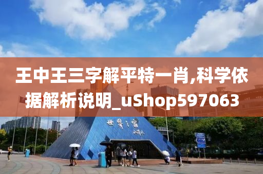 王中王三字解平特一肖,科学依据解析说明_uShop597063