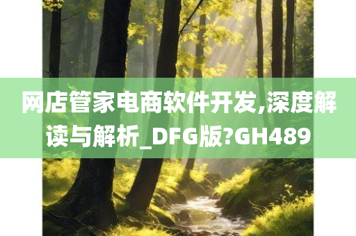 网店管家电商软件开发,深度解读与解析_DFG版?GH489