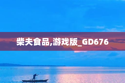 柴夫食品,游戏版_GD676