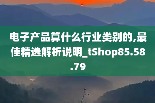 电子产品算什么行业类别的,最佳精选解析说明_tShop85.58.79