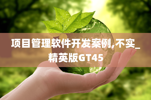 项目管理软件开发案例,不实_精英版GT45