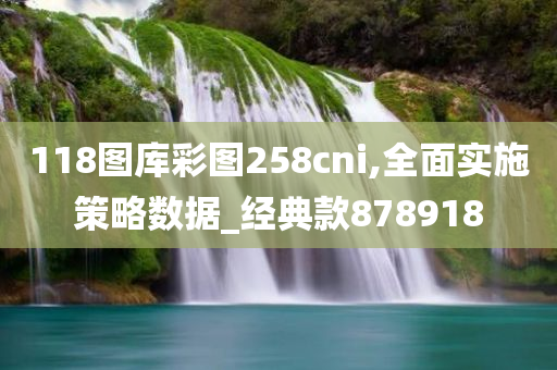 118图库彩图258cni,全面实施策略数据_经典款878918