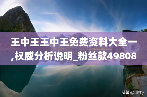 王中王王中王免费资料大全一,权威分析说明_粉丝款498080