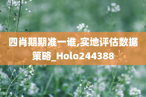 四肖期期准一谁,实地评估数据策略_Holo244388