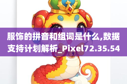 服饰的拼音和组词是什么,数据支持计划解析_Pixel72.35.54