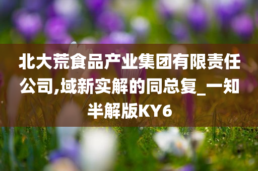 北大荒食品产业集团有限责任公司,域新实解的同总复_一知半解版KY6