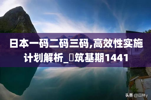 日本一码二码三码,高效性实施计划解析_‌筑基期1441