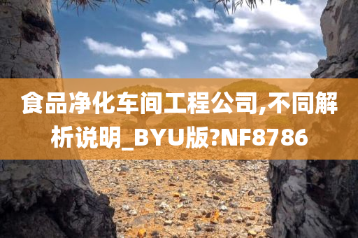 食品净化车间工程公司,不同解析说明_BYU版?NF8786