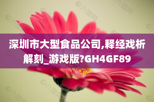 深圳市大型食品公司,释经戏析解刻_游戏版?GH4GF89