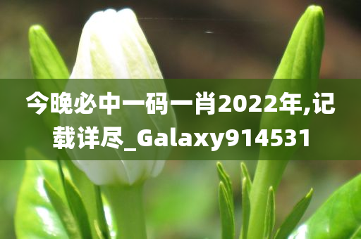 今晚必中一码一肖2022年,记载详尽_Galaxy914531