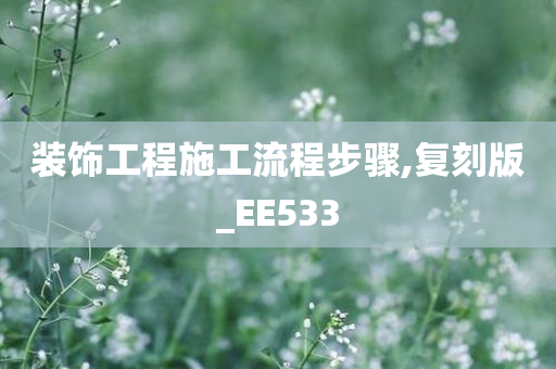 装饰工程施工流程步骤,复刻版_EE533