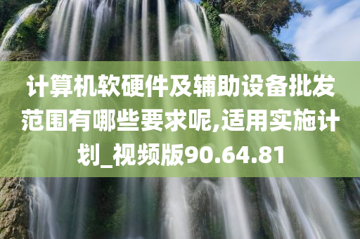 计算机软硬件及辅助设备批发范围有哪些要求呢,适用实施计划_视频版90.64.81