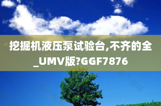 挖掘机液压泵试验台,不齐的全_UMV版?GGF7876