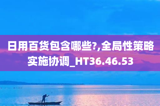 日用百货包含哪些?,全局性策略实施协调_HT36.46.53