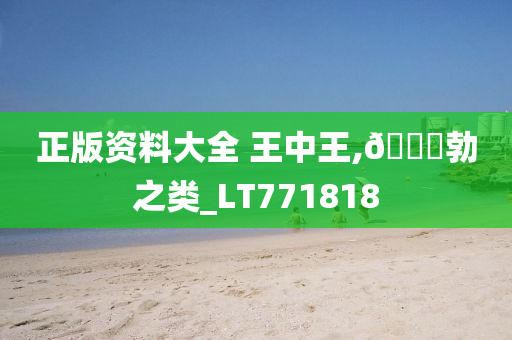 正版资料大全 王中王,🐎勃之类_LT771818