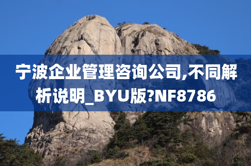 宁波企业管理咨询公司,不同解析说明_BYU版?NF8786