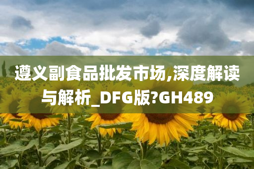 遵义副食品批发市场,深度解读与解析_DFG版?GH489