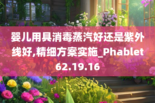 婴儿用具消毒蒸汽好还是紫外线好,精细方案实施_Phablet62.19.16