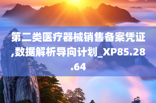 第二类医疗器械销售备案凭证,数据解析导向计划_XP85.28.64