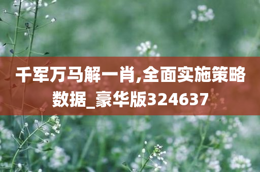 千军万马解一肖,全面实施策略数据_豪华版324637