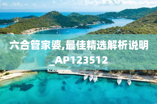 六合管家婆,最佳精选解析说明_AP123512