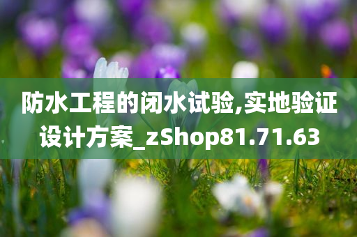 防水工程的闭水试验,实地验证设计方案_zShop81.71.63