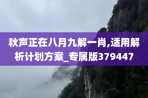 秋声正在八月九解一肖,适用解析计划方案_专属版379447