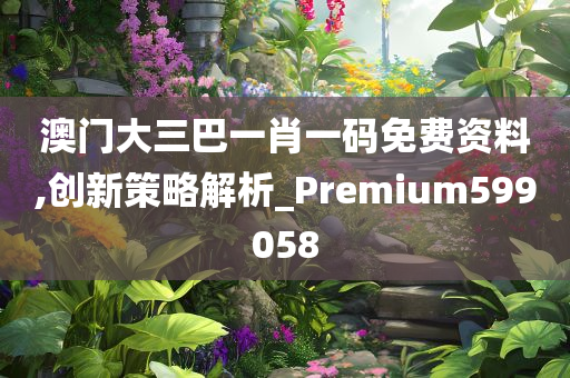 澳门大三巴一肖一码免费资料,创新策略解析_Premium599058