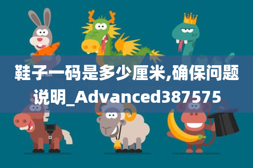 鞋子一码是多少厘米,确保问题说明_Advanced387575