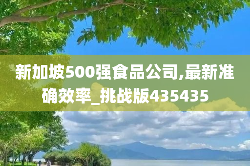 新加坡500强食品公司,最新准确效率_挑战版435435