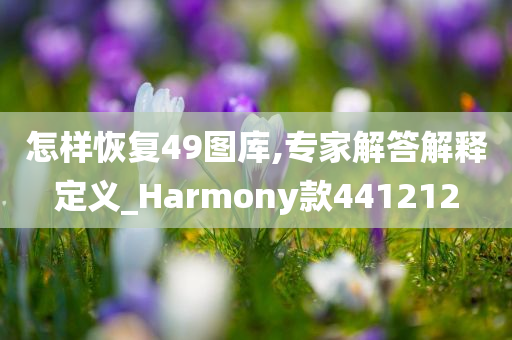 怎样恢复49图库,专家解答解释定义_Harmony款441212