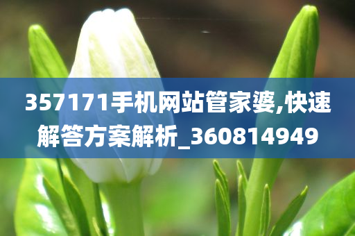 357171手机网站管家婆,快速解答方案解析_360814949