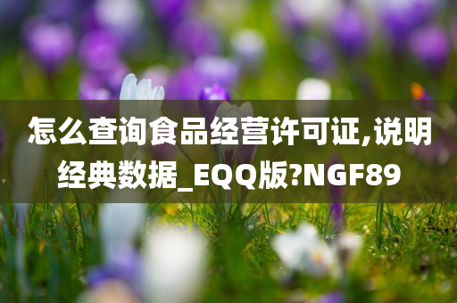 怎么查询食品经营许可证,说明经典数据_EQQ版?NGF89