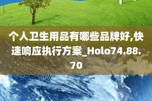 个人卫生用品有哪些品牌好,快速响应执行方案_Holo74.88.70