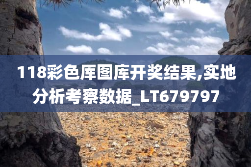 118彩色厍图库开奖结果,实地分析考察数据_LT679797