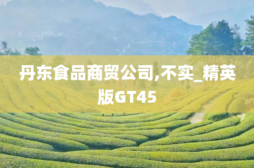 丹东食品商贸公司,不实_精英版GT45