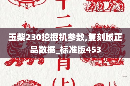 玉柴230挖掘机参数,复刻版正品数据_标准版453