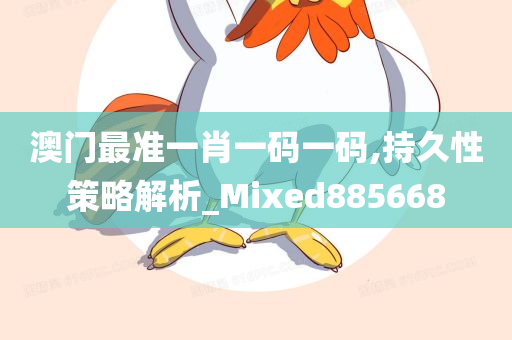 澳门最准一肖一码一码,持久性策略解析_Mixed885668