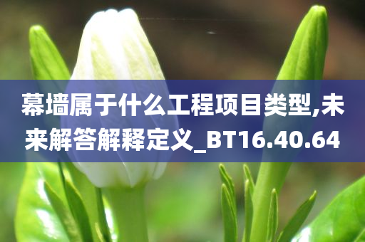 幕墙属于什么工程项目类型,未来解答解释定义_BT16.40.64