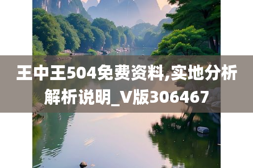 王中王504免费资料,实地分析解析说明_V版306467