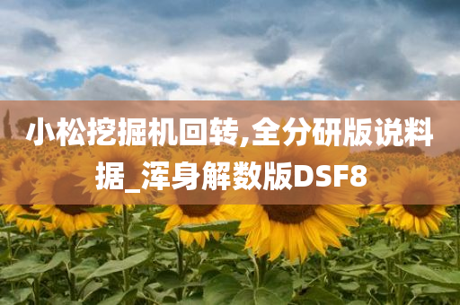 小松挖掘机回转,全分研版说料据_浑身解数版DSF8