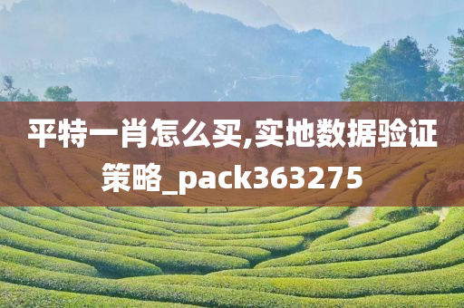 平特一肖怎么买,实地数据验证策略_pack363275