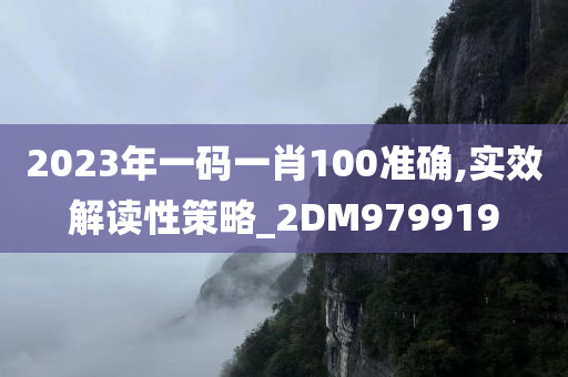 2023年一码一肖100准确,实效解读性策略_2DM979919