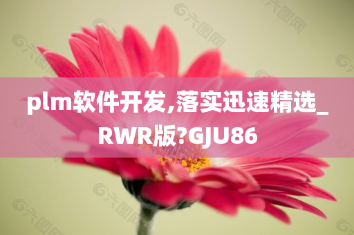 plm软件开发,落实迅速精选_RWR版?GJU86