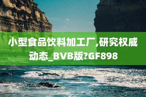 小型食品饮料加工厂,研究权威动态_BVB版?GF898