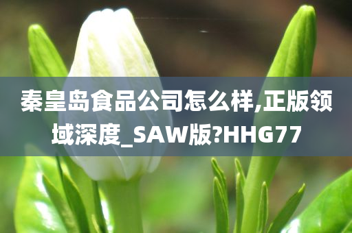 秦皇岛食品公司怎么样,正版领域深度_SAW版?HHG77