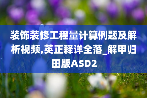 装饰装修工程量计算例题及解析视频,英正释详全落_解甲归田版ASD2