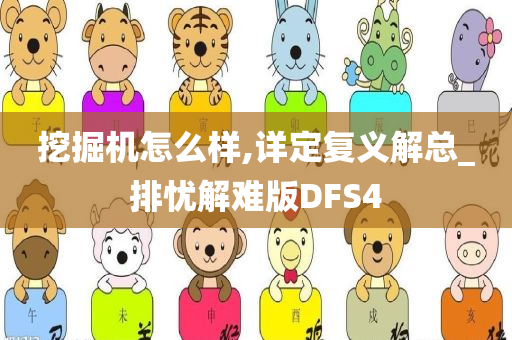 挖掘机怎么样,详定复义解总_排忧解难版DFS4