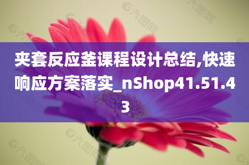 夹套反应釜课程设计总结,快速响应方案落实_nShop41.51.43