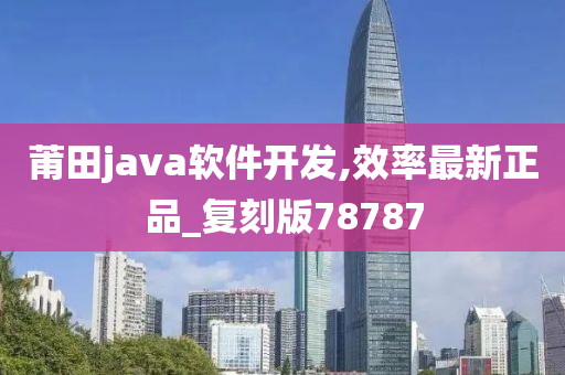 莆田java软件开发,效率最新正品_复刻版78787